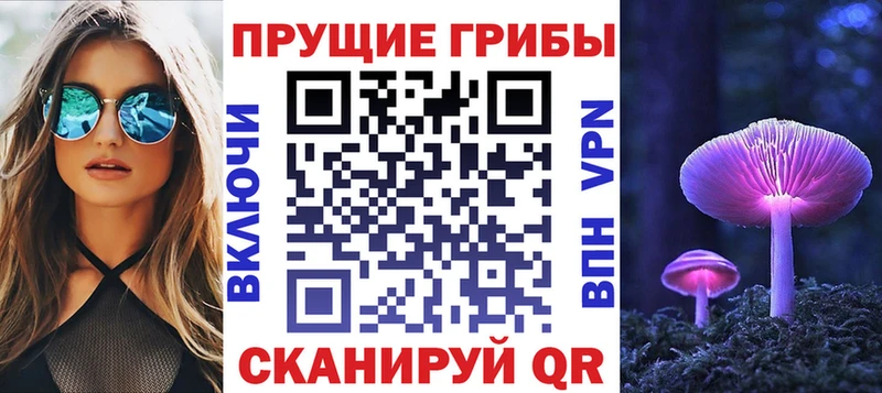 Галлюциногенные грибы мицелий  Купить  Богданович 